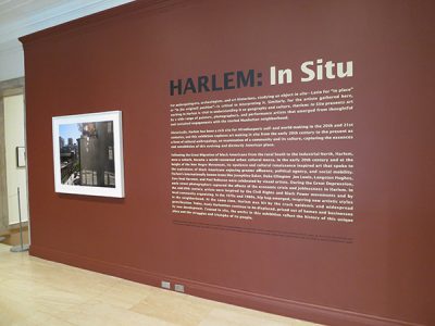 African American Modernism: The Harlem Renaissance and Its Aesthetic Aftermath​