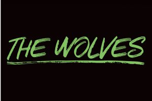 Weston Drama Workshop Presents: The Wolves