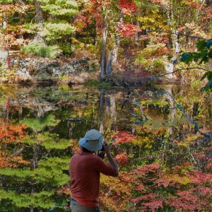 Fall Colors Photography Workshop