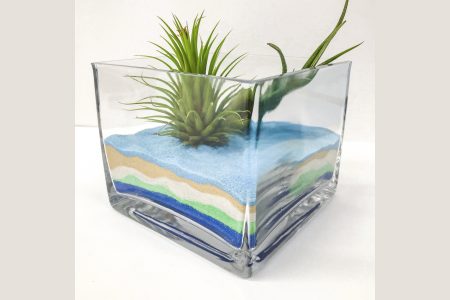 Sand Art Terrariums