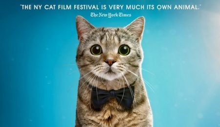 New York Cat Film Festival