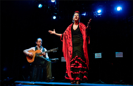 Flamenco y Sol