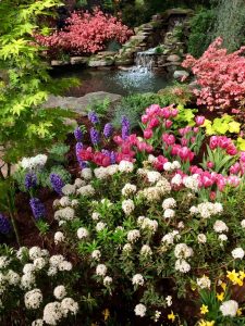 Boston Flower & Garden Show