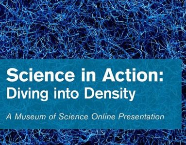 Science in Action: Diving into Density by Museum of Science