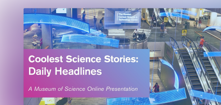 Coolest Science Stories: Daily Headlines