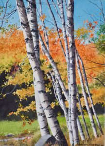 Painting the Vibrant Fall Colors