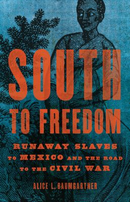 South to Freedom: Runaway Slaves to Mexico and the Road to the Civil War