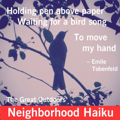 Neighborhood Haiku Zoom Workshop: The Great Outdoors
