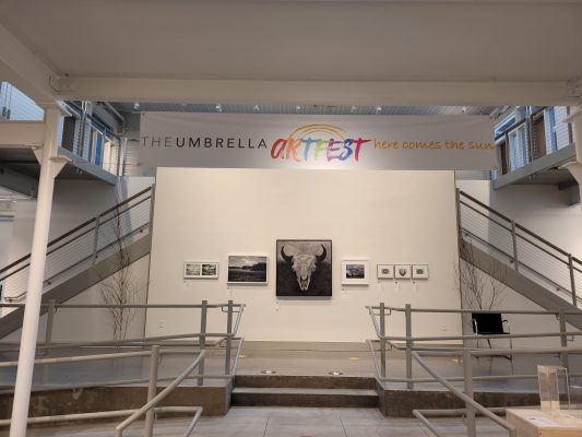 Umbrella Artfest Auction Exhibition