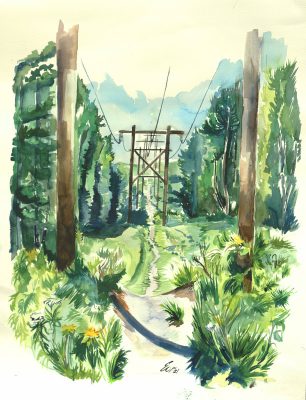 Online Watercolor Class for Beginners and Intermediates