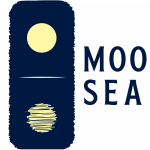 Moonlit Sea Prints