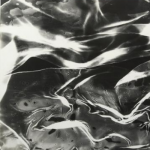 In-Person Exhibition Tour: White Shadows: Anneliese Hager and the Camera-less Photograph