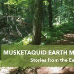 Musketaquid Earth Day Festival 2022