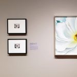 Gallery Tour: Georgia O'Keeffe, Photographer