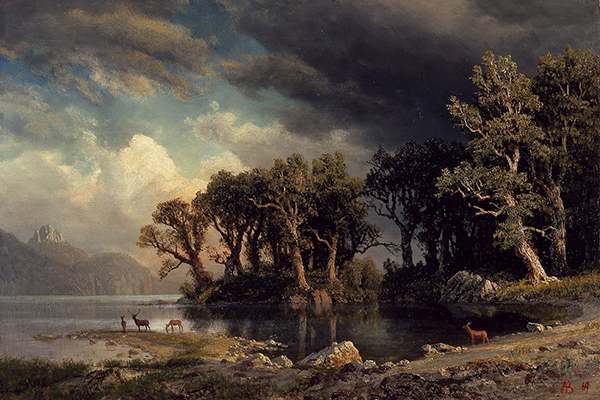 Regarding America: 19th-Century Art from the Permanent Collection