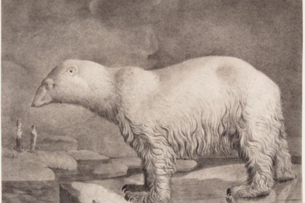 Gallery Talk: Dare to Know: Prints and Drawings in the Age of Enlightenment