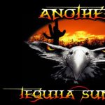 Another Tequila Sunrise, LLC