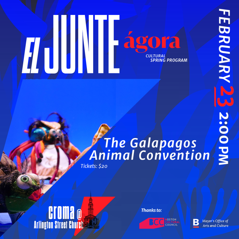 El Junte | The Galapagos Animal Convention: Croma (Arlington Street Church)