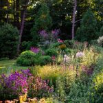 “New Perennials: A Love Story" with garden-maker Deborah Chud
