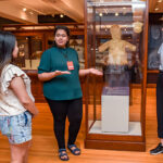 Peabody Museum Tours Led by Harvard Students