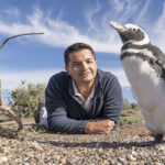Protecting the World’s Penguins (Free Hybrid Lecture)