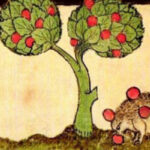 The Auld Apple Tree: A Winter Solstice Celebration
