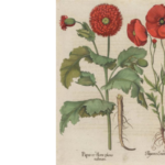 Exhibition Tour—Objects of Addiction: Opium, Empire, and the Chinese Art Trade