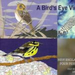 Gallery Talk by the Artists of A Bird's Eye View Exhibit