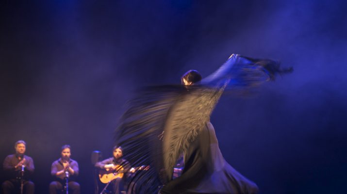 Gallery 2 - Flamenco Festival 2018: Compañía Eva Yerbabuena
