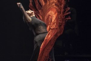 Gallery 3 - Flamenco Festival 2018: Compañía Eva Yerbabuena