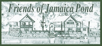 Friends of Jamaica Pond