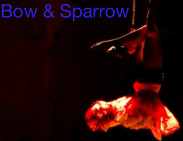 Bow & Sparrow
