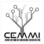 CEMMI (The Collaborative Electronic Mixed Media Institute)