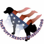 The Puppy Rescue Mission